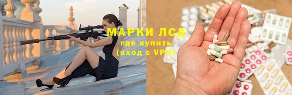крисы Аркадак