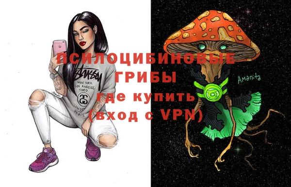 сатива Арсеньев
