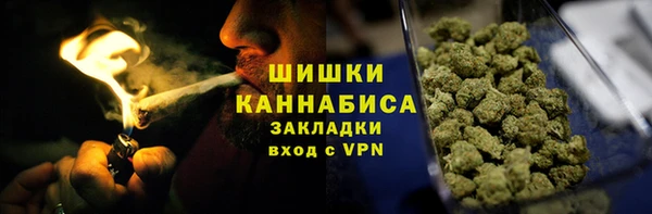 гидра Дмитров