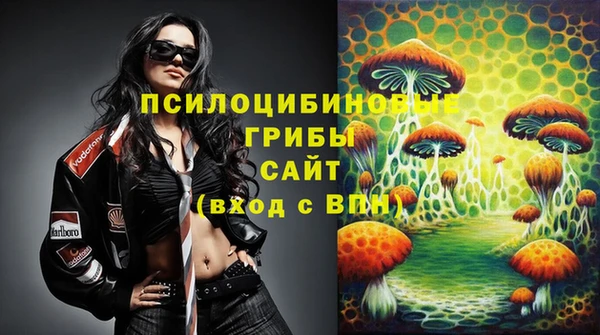сатива Арсеньев
