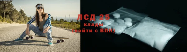 крисы Аркадак