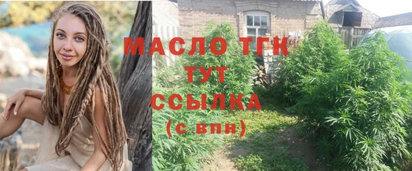 индика Армянск