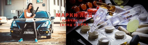 индика Армянск