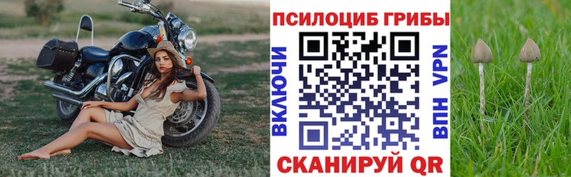 Галлюциногенные грибы Magic Shrooms Оса